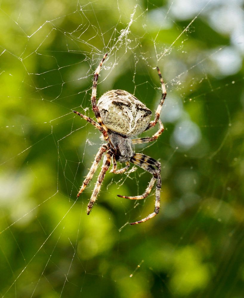 Photograph by Ави Христова
