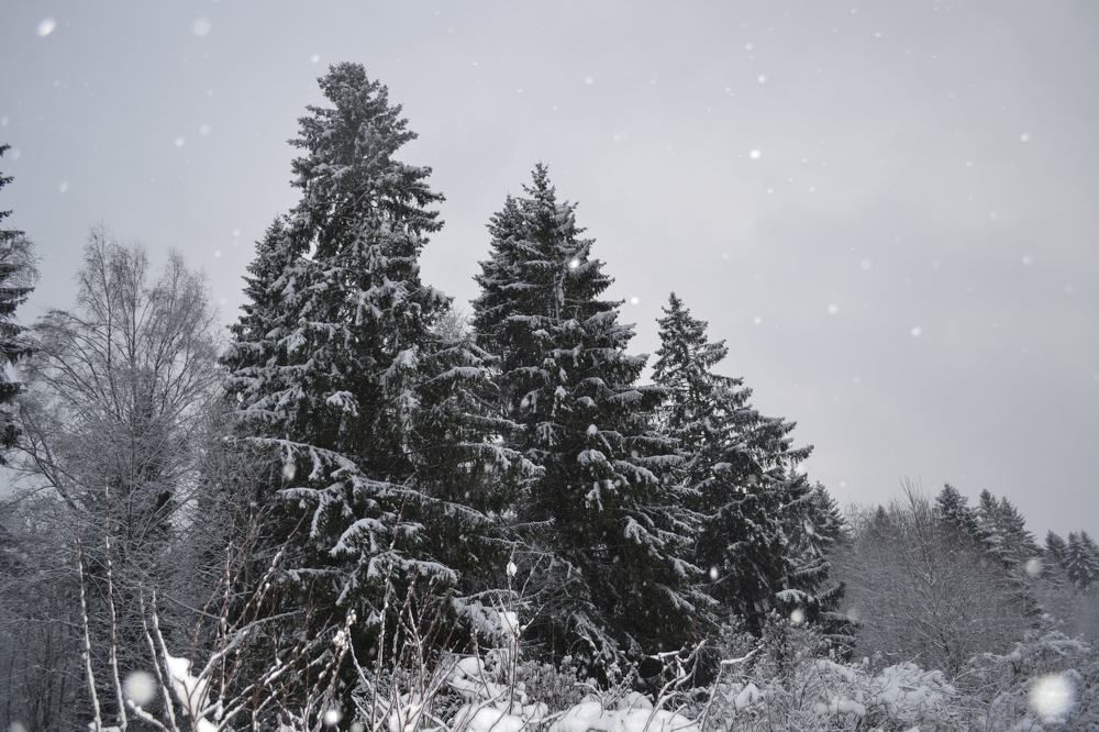 Photograph by Олеся Кузнецова