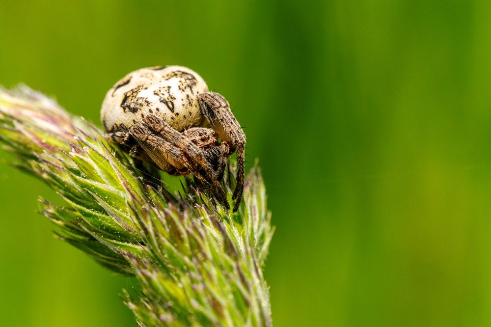 Photograph by Kamil Stępień