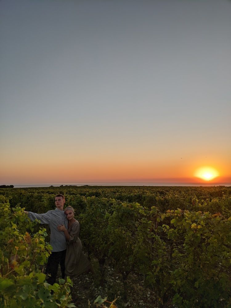 Виноградник в Геленджике