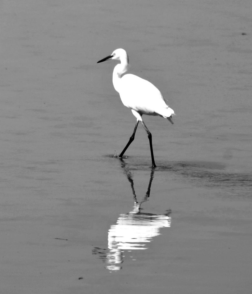 Photograph by PRATYUSH HALDER