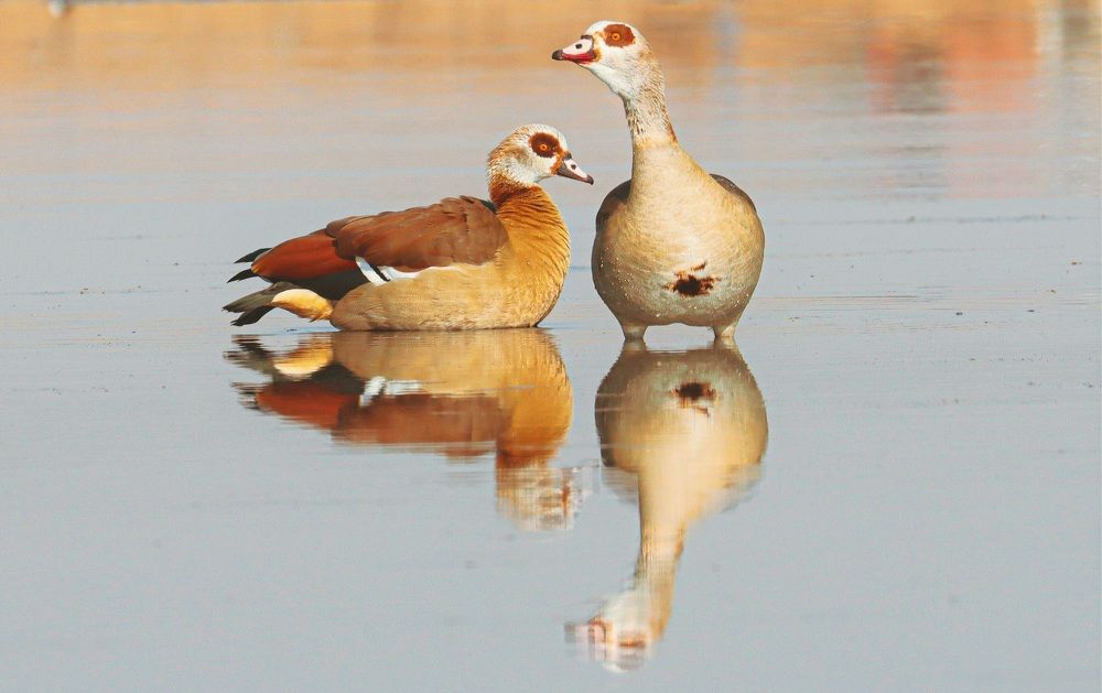 Photograph by PRATYUSH HALDER