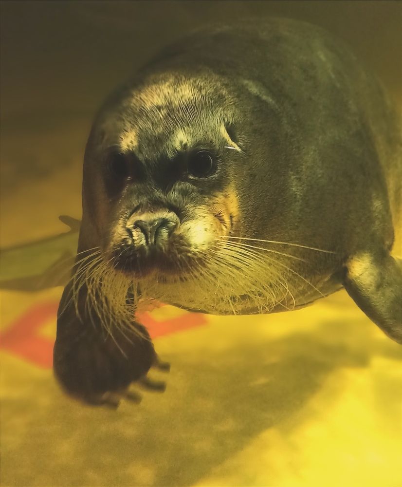 Photograph by Антон