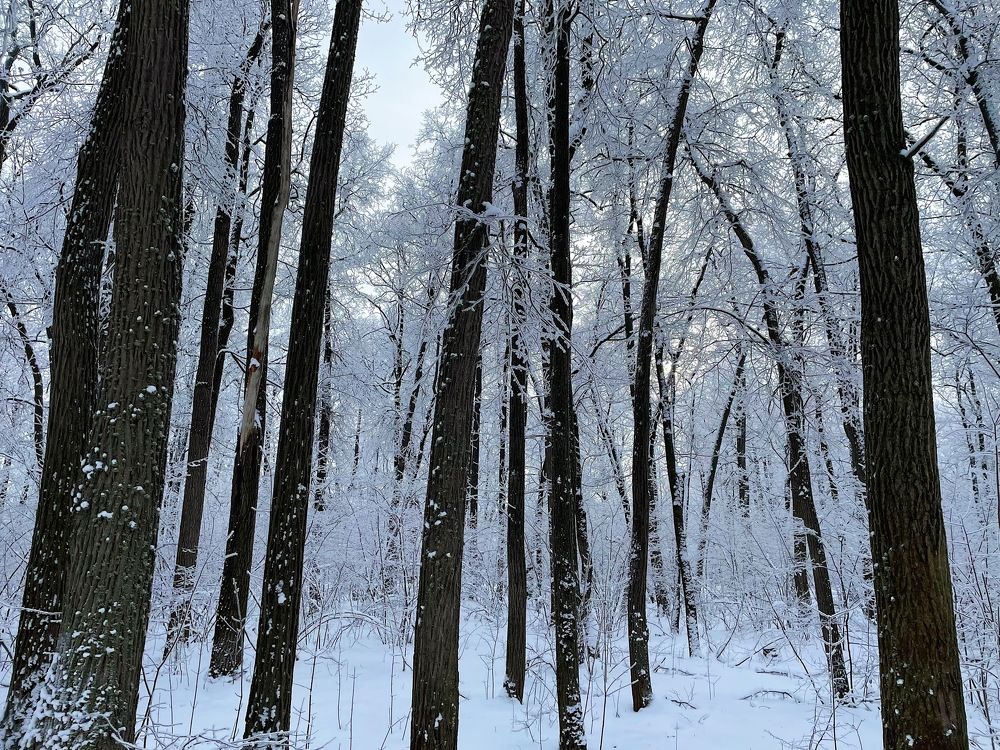 Photograph by Ксения Щербакова