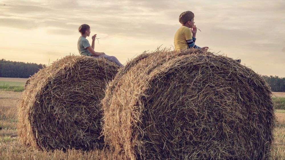 Photograph by Елена Пасажицкая