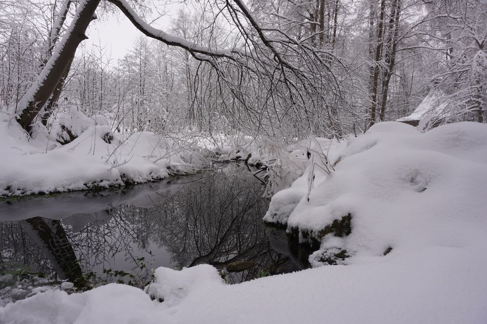 Photograph by Алфия Бугакова