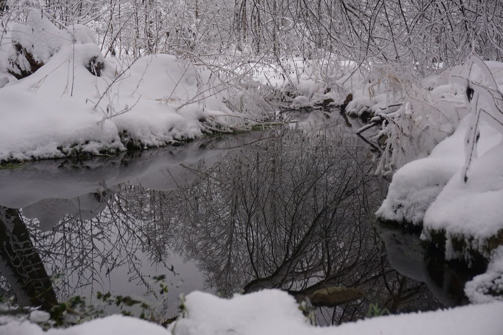 Photograph by Алфия Бугакова