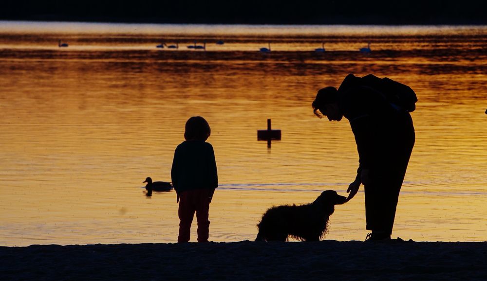 Photograph by Елена Пасажицкая