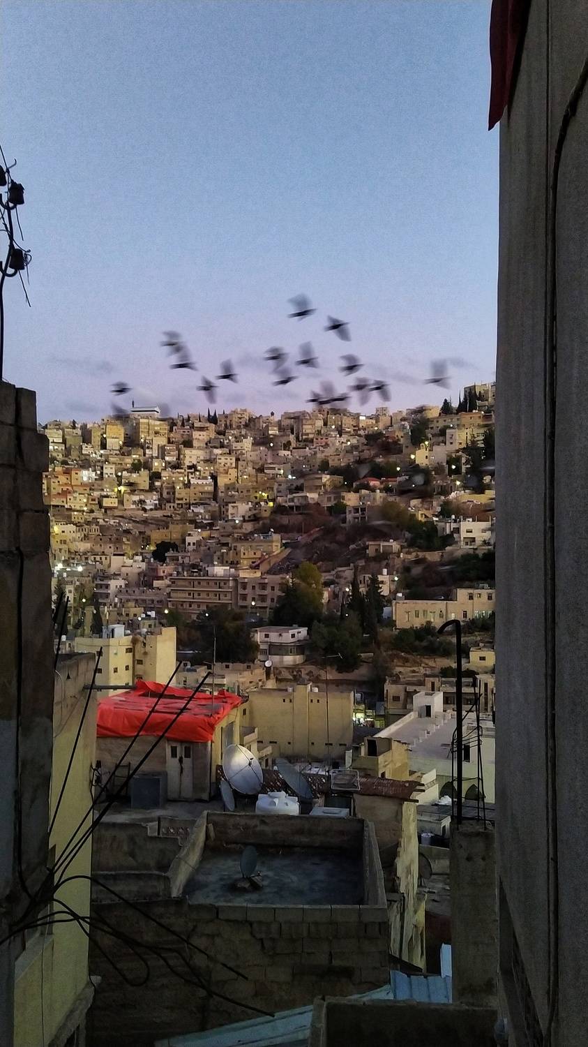 Photo #7040863