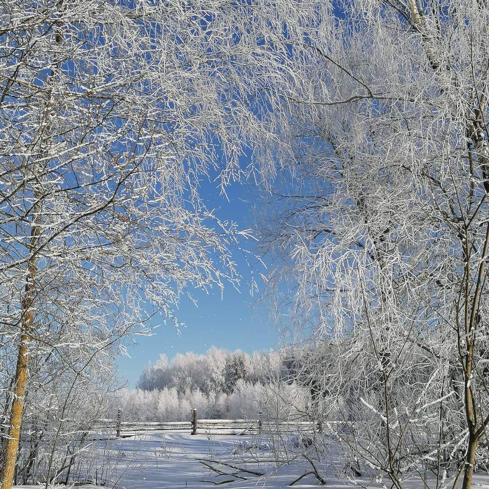 Photograph by Екатерина Супраненок