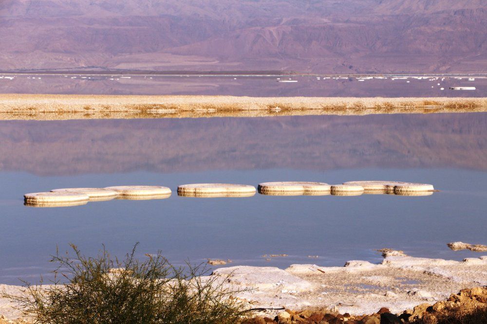 Photograph by Irina Moghiliova