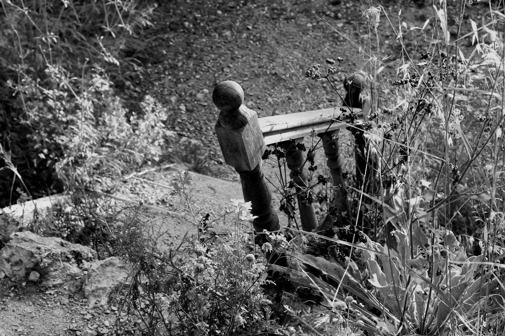 Photograph by Irina Moghiliova