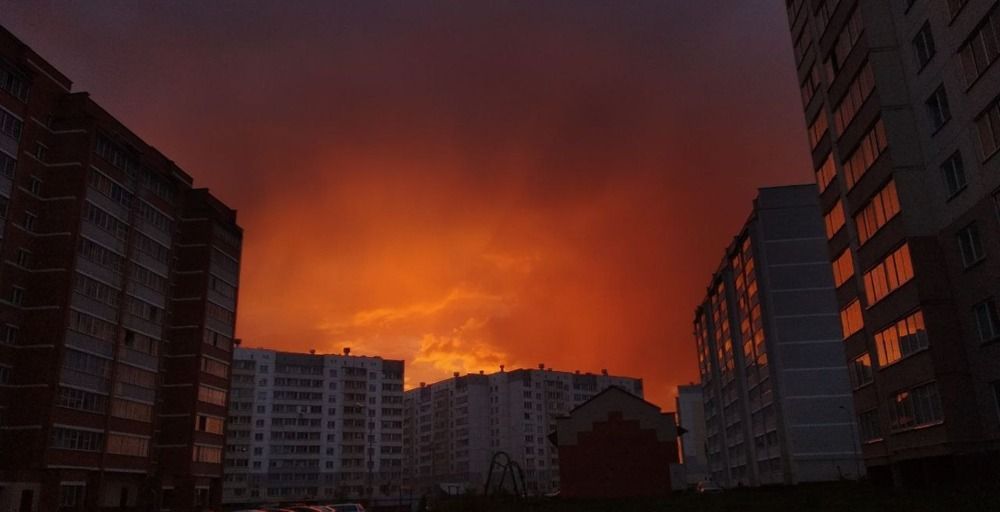 Фотография автора Алина Лебедь