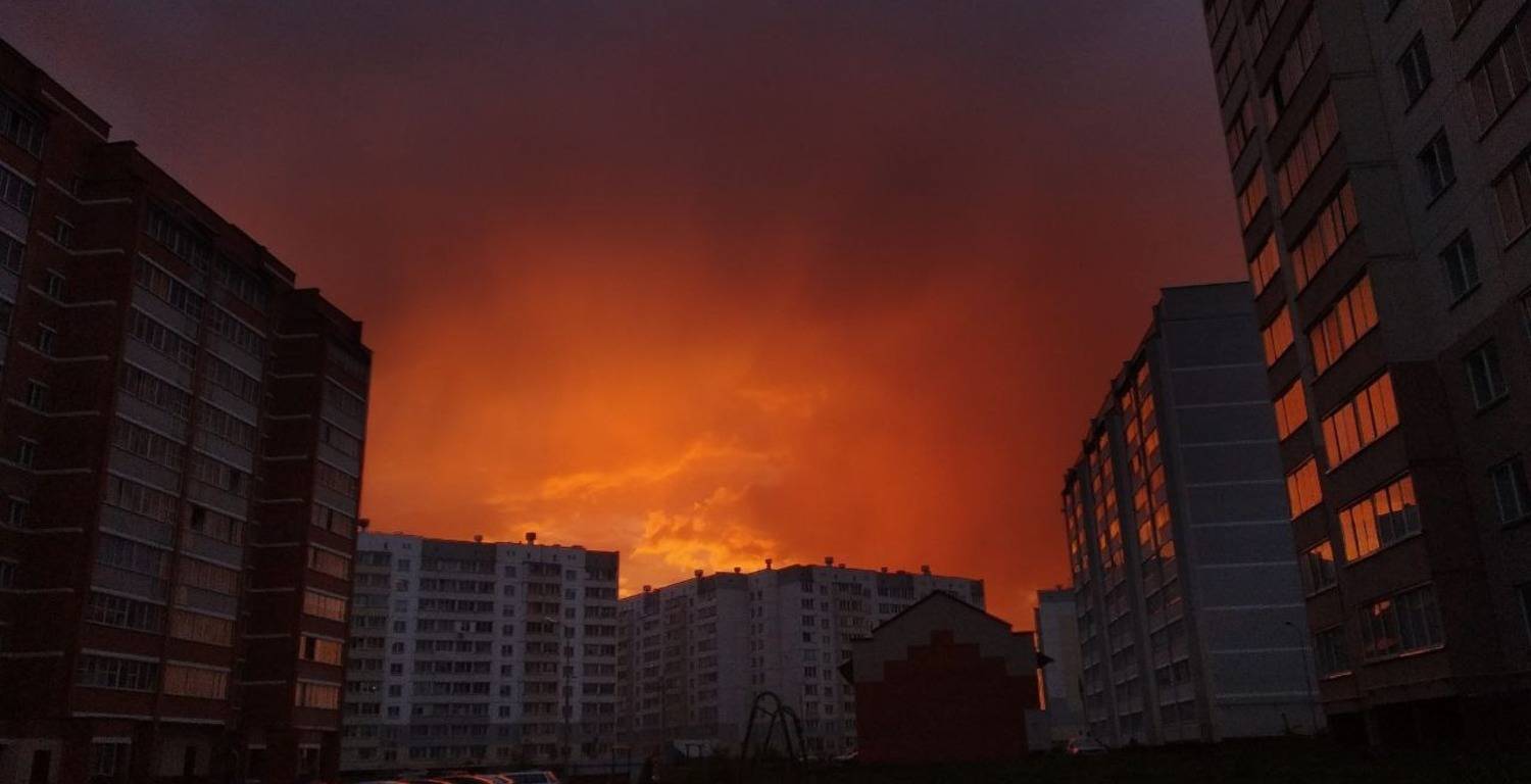 Photo #7041019