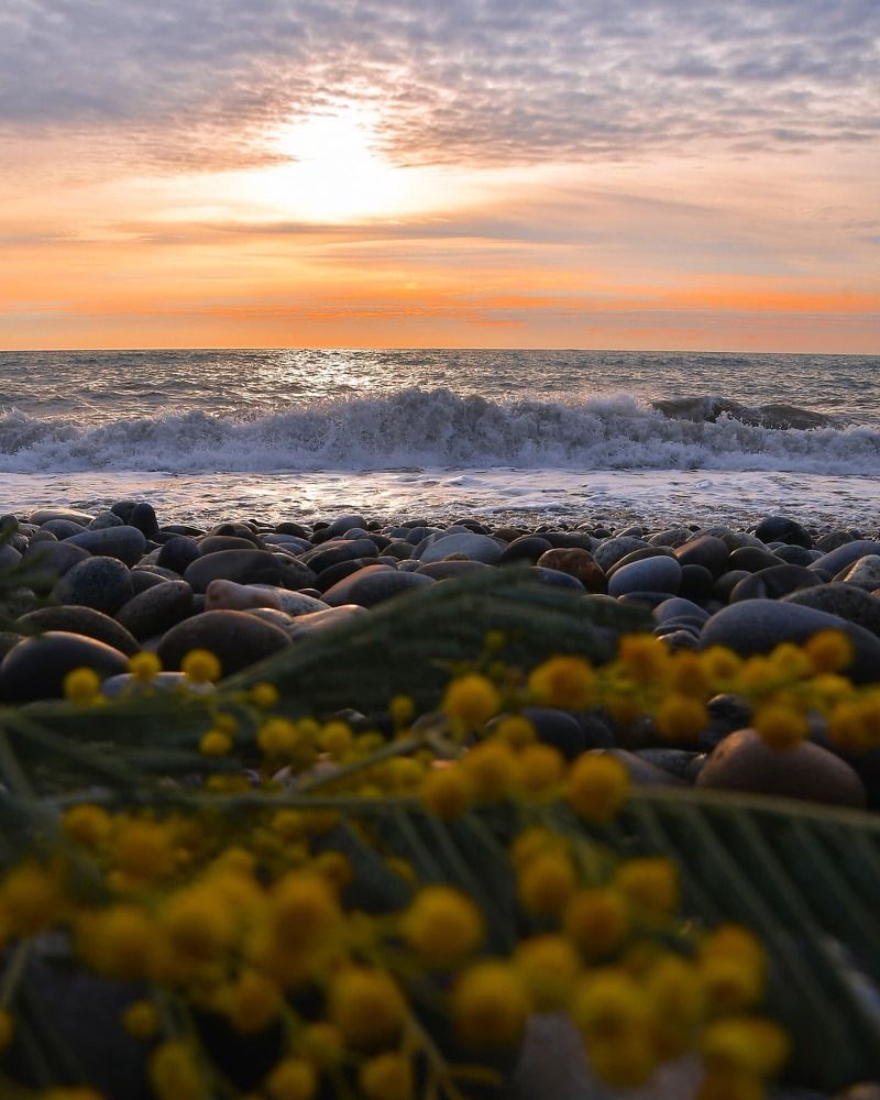 Photograph by Алена Ким