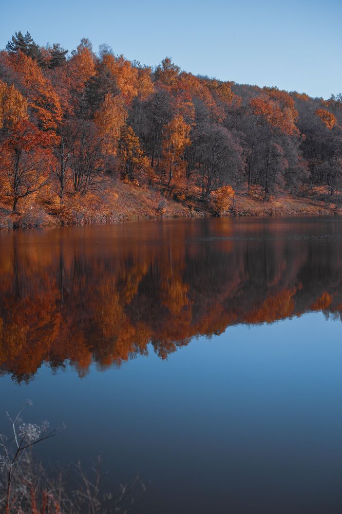 Photograph by Алена Ким