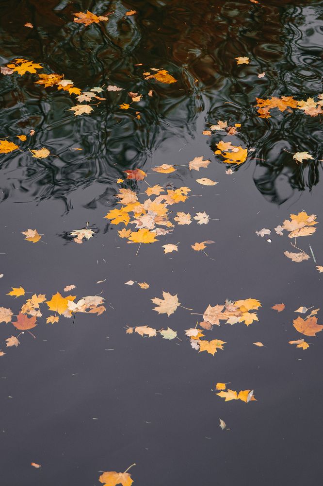 Photograph by Алена Ким