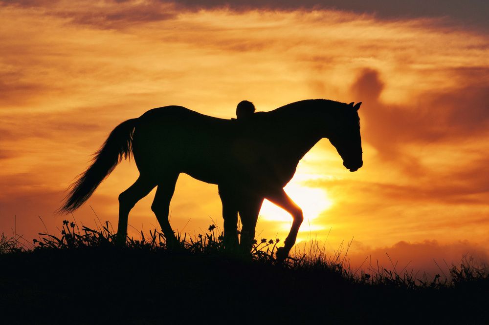 Photograph by Katerina Pustoshnaia