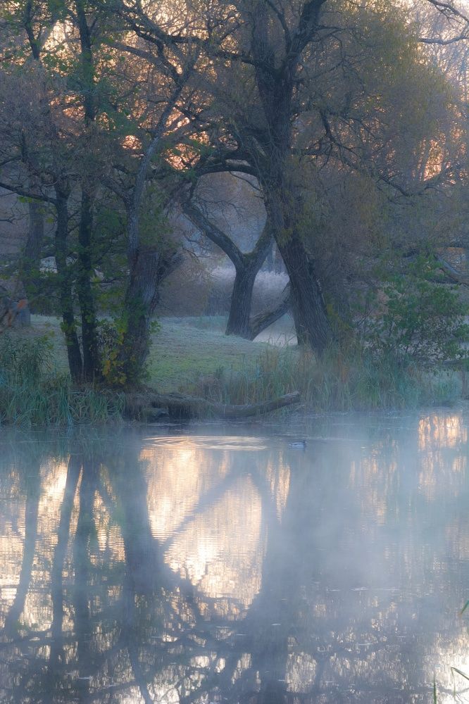 Фотография автора Андрей Врубель