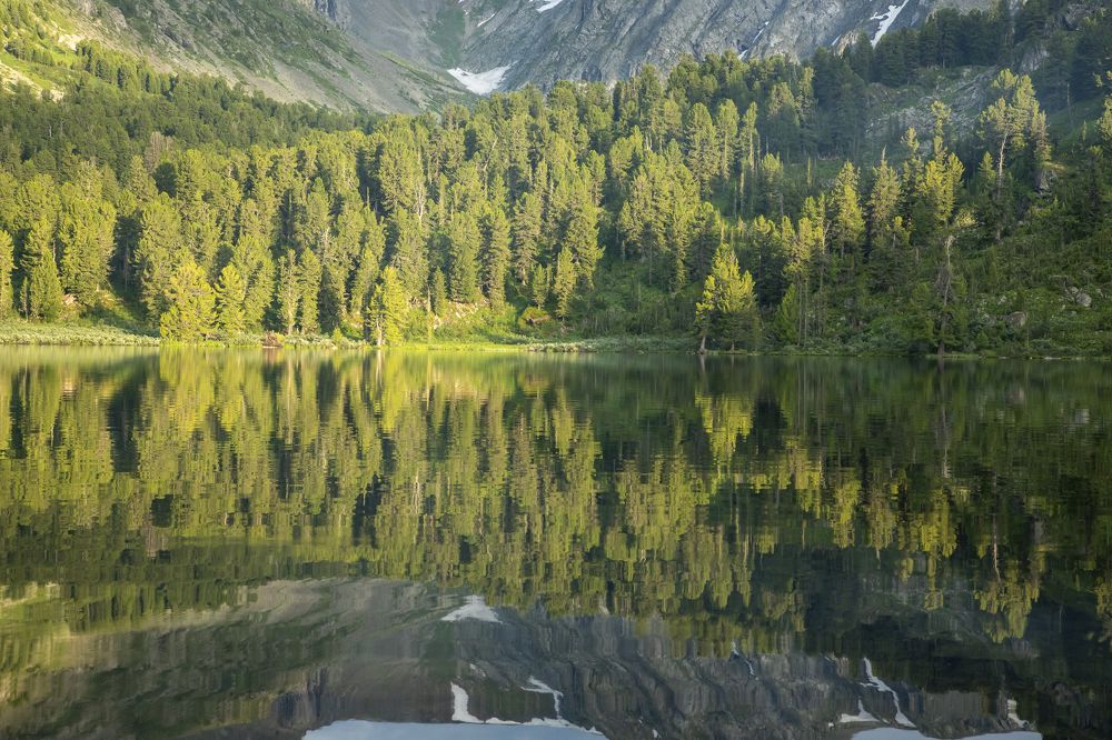 Photograph by Юлия Лазебная