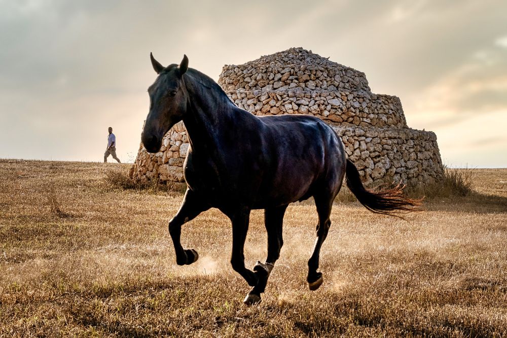 Photograph by Katerina Pustoshnaia