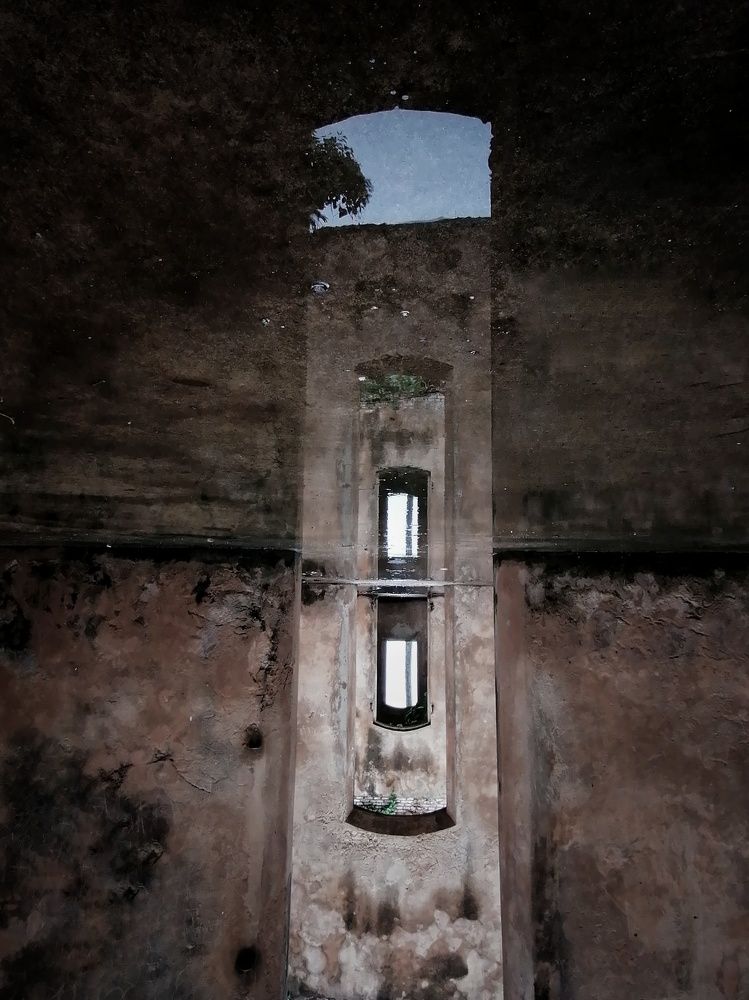 Photograph by Albert Carvajal