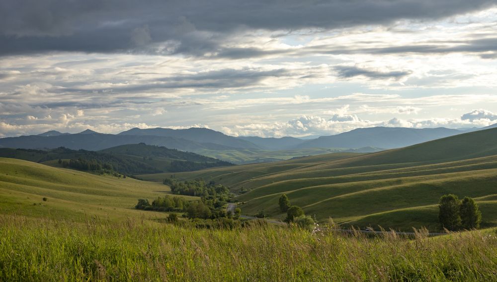 Photograph by Юлия Лазебная