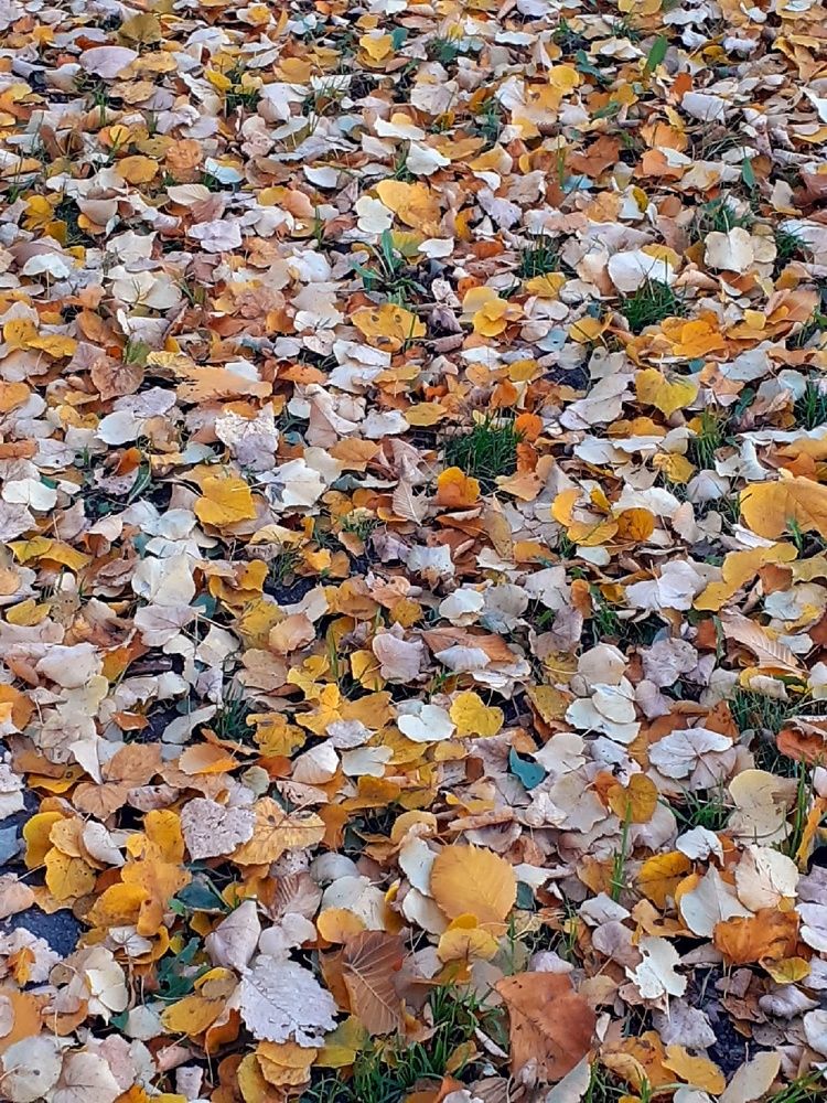 Photograph by Евгения Ульянова