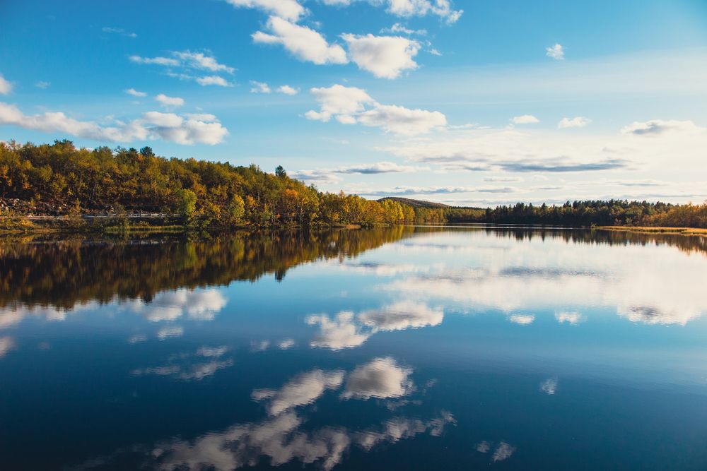 Фотография автора Андрей Русских