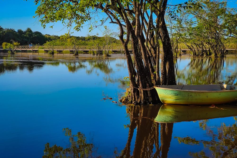 Photograph by Vinicius Dattwyler