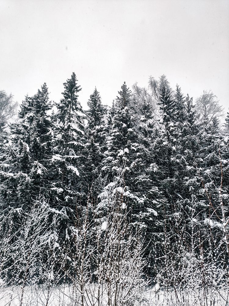 Photograph by Elena Novikova