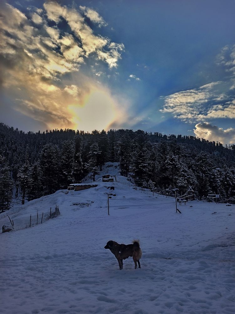 Agsi beautiful sunset in winter