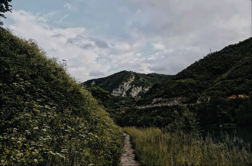 Photograph by Neda Vučićević