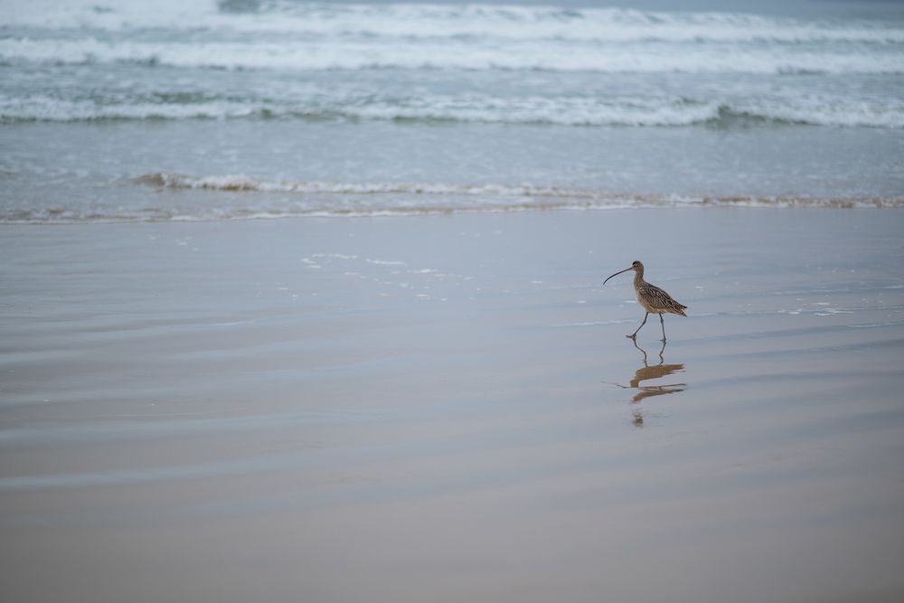 Photograph by Anna Vlasova