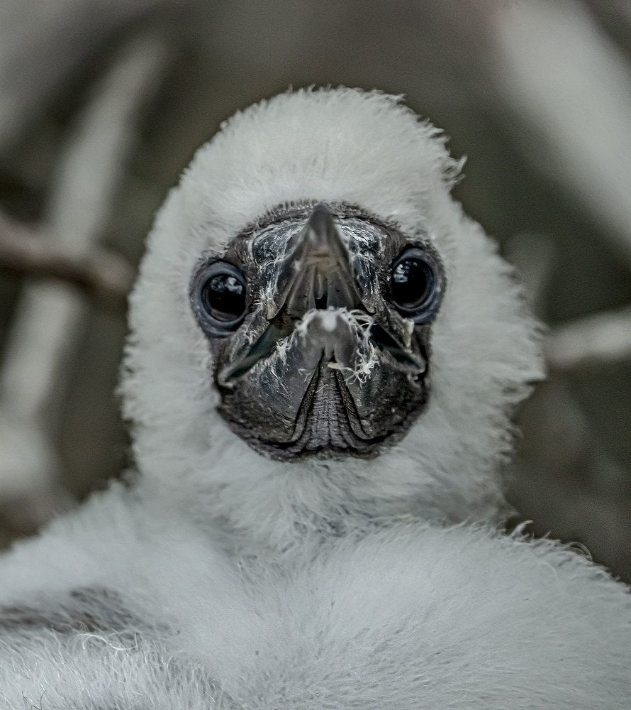 Фотография автора andrey gagarin