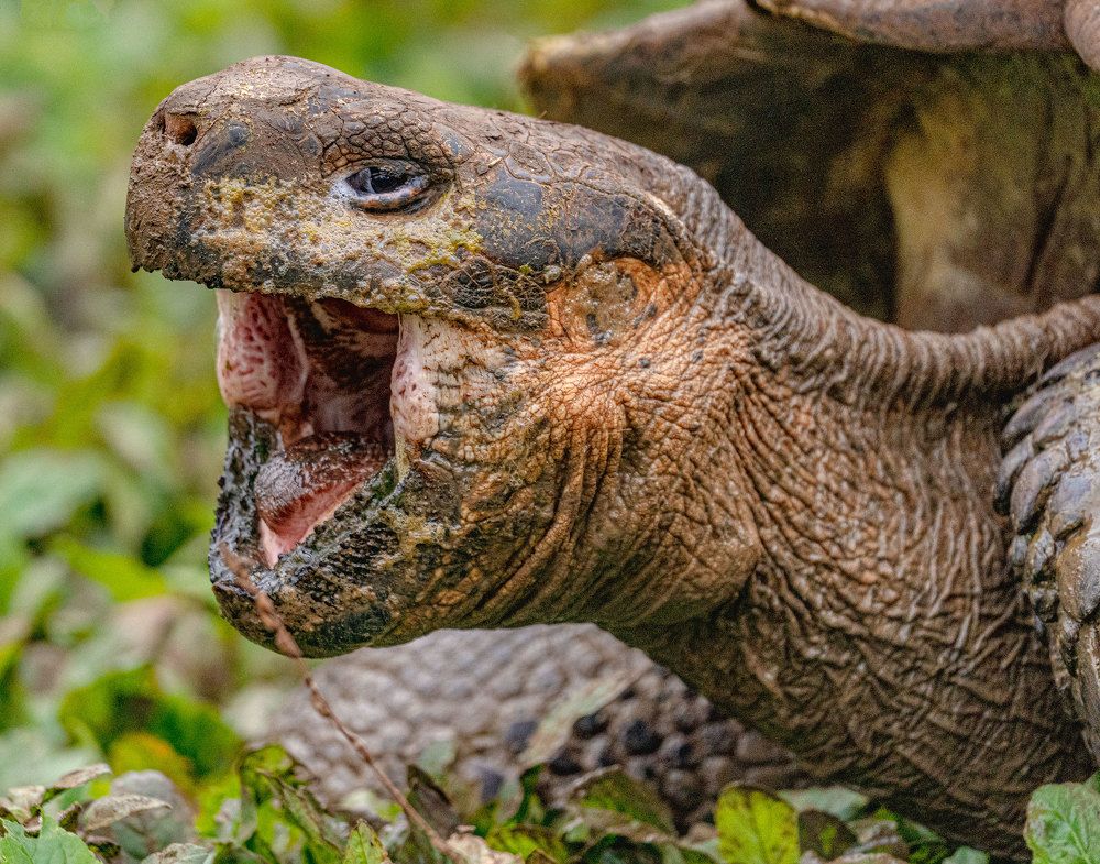 Фотография автора andrey gagarin