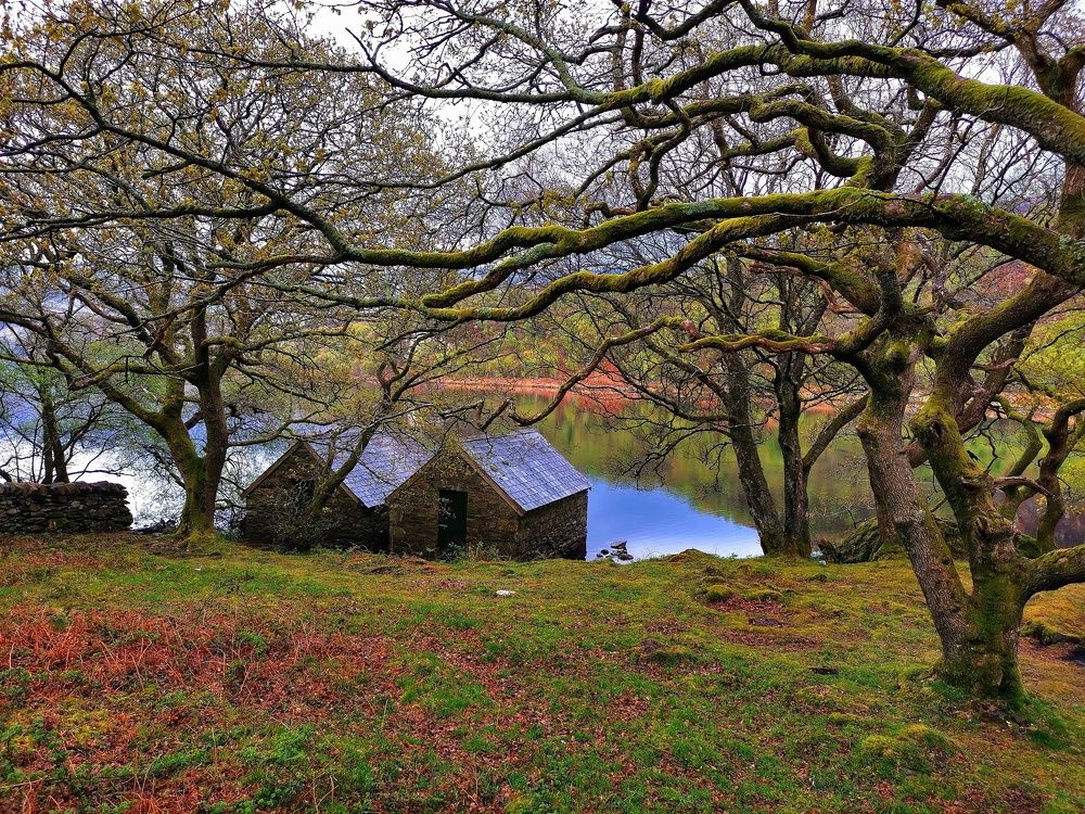 Photograph by Ингрида Кузнецова