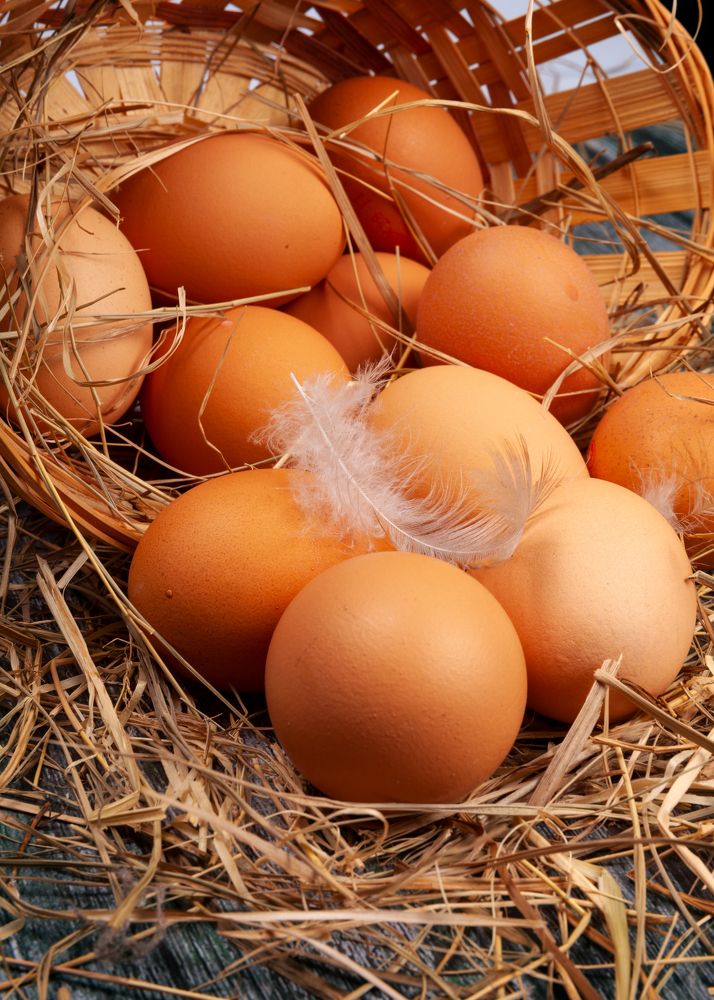 Photograph by Денис Дорошенко