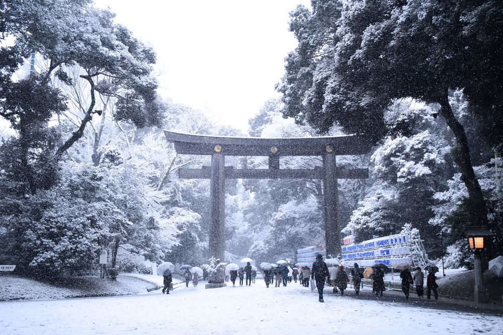 A Serene Snowy Shrine Day
