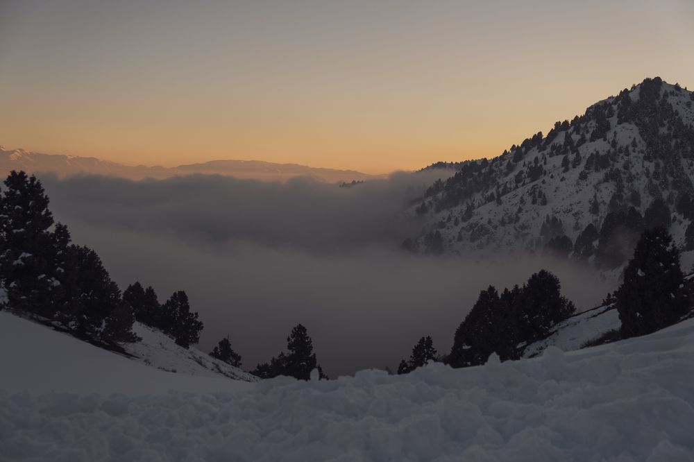 Photograph by Дильмурад Ахмедов