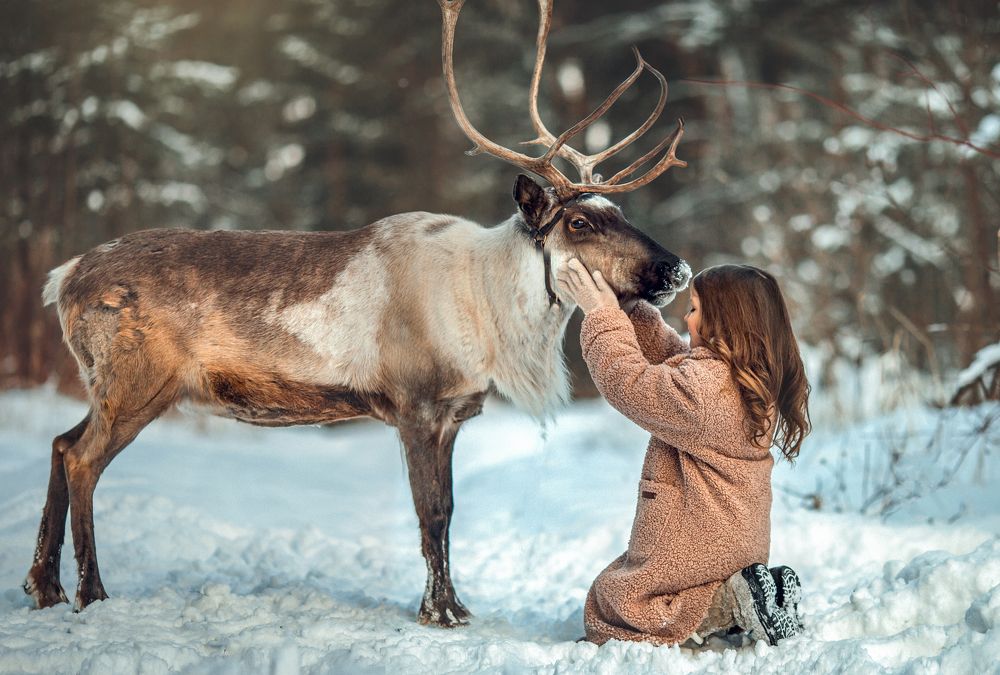 Photograph by Надья Васильчук