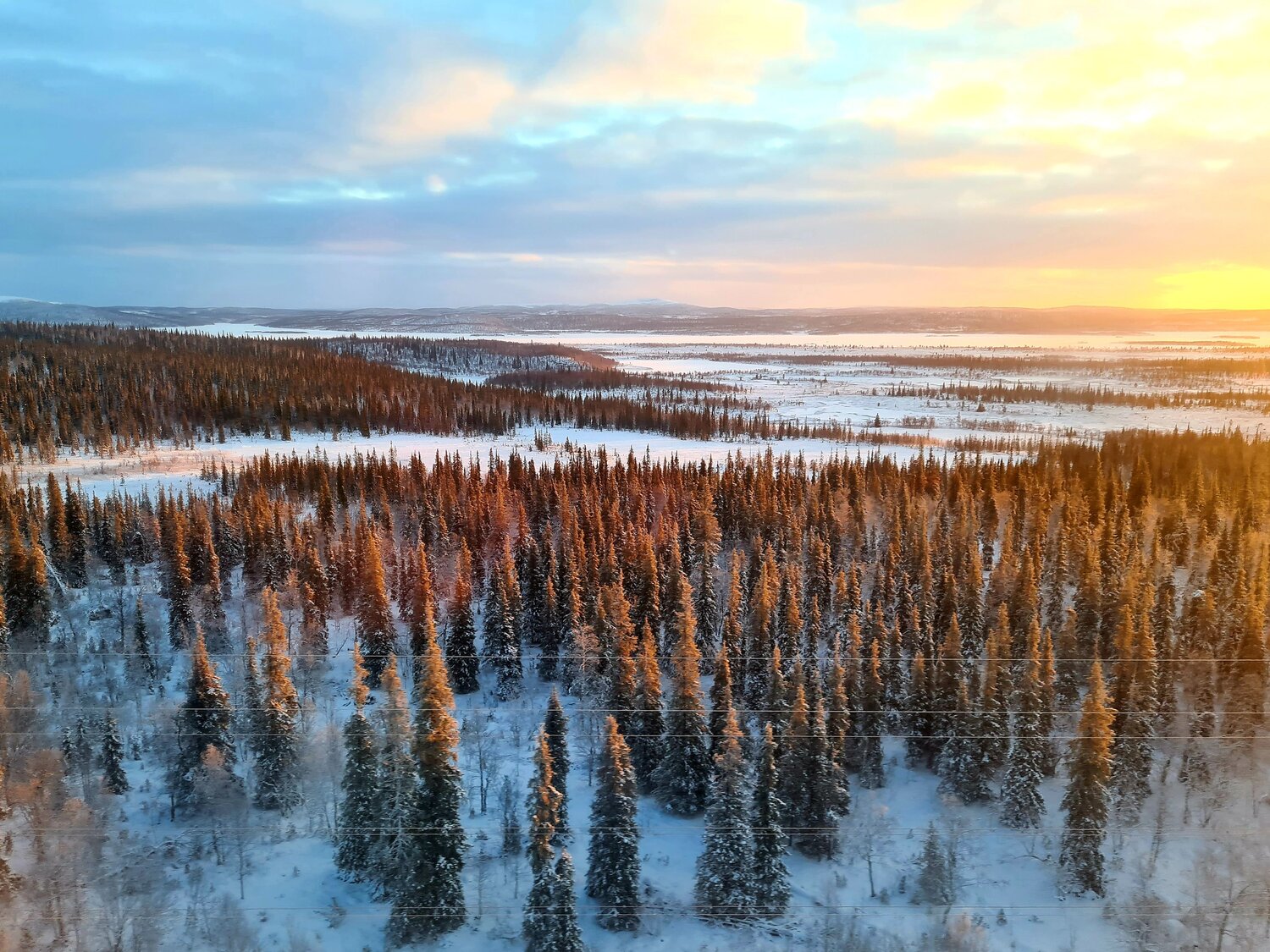 Photo #7041841