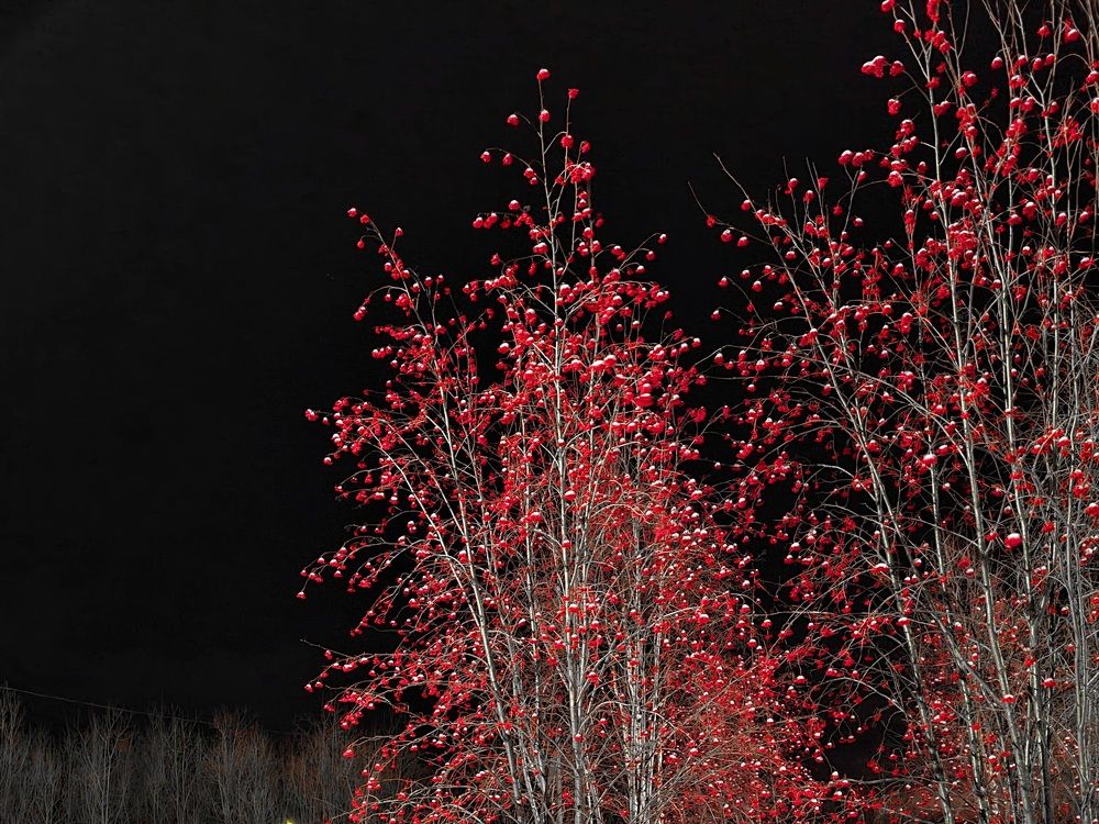 Photograph by Вячеслав Чудновец
