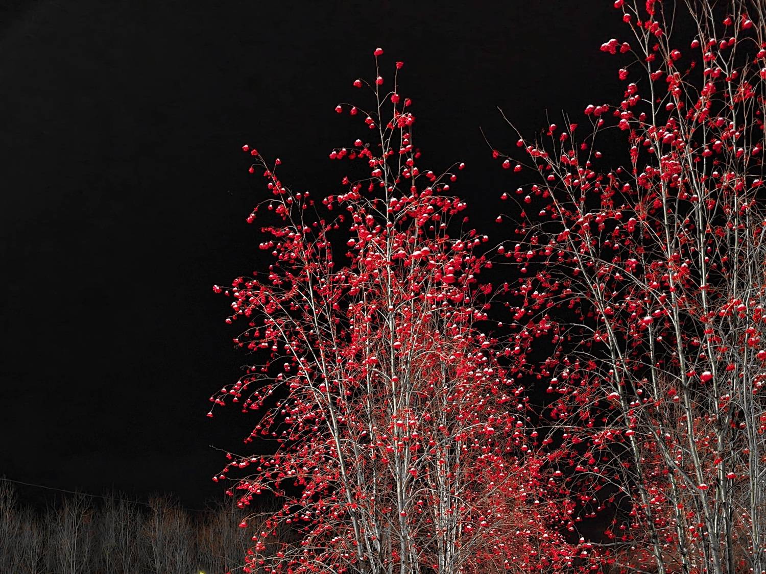 Photo #7041851
