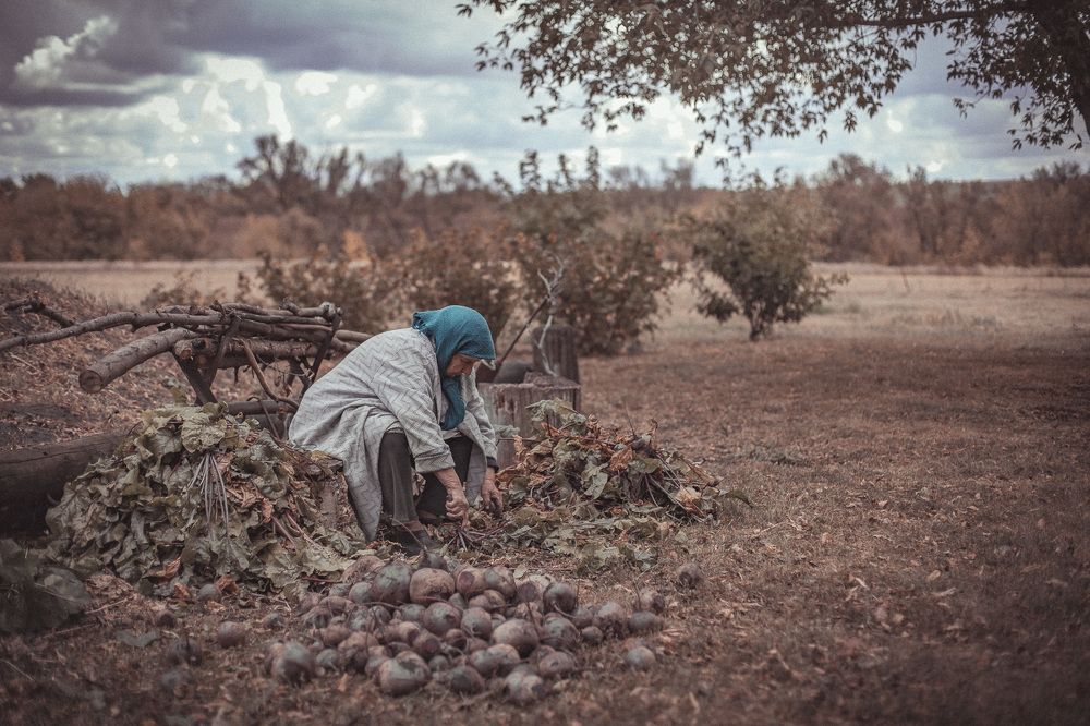 Photograph by Алексей Юденков