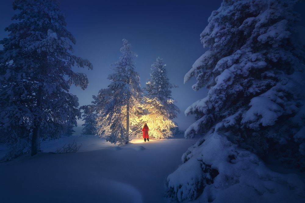 Photograph by Анна Политова