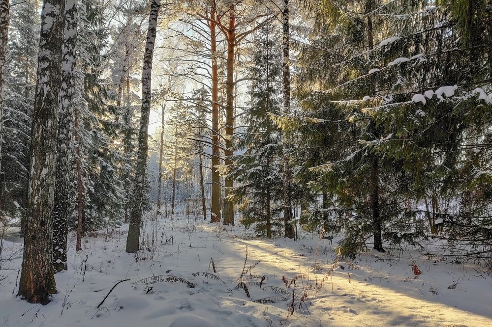 Photograph by Ольга Тюрина