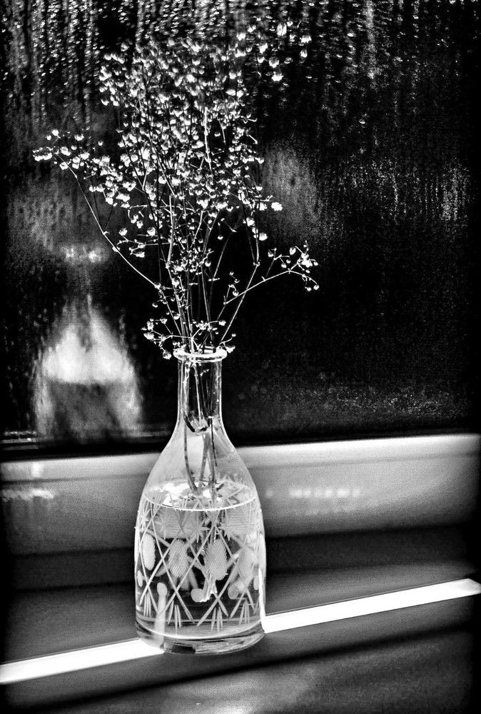 Photograph by Хамитова Светлана