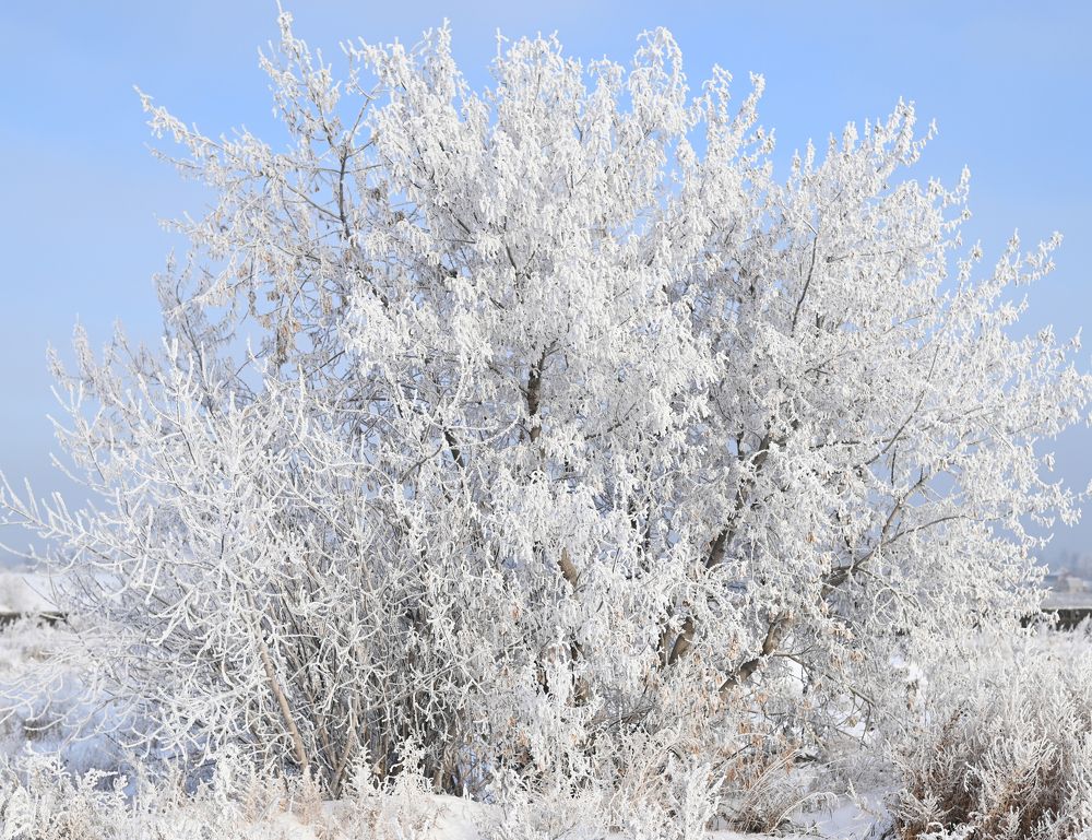 Photograph by Светлана Вербицкая