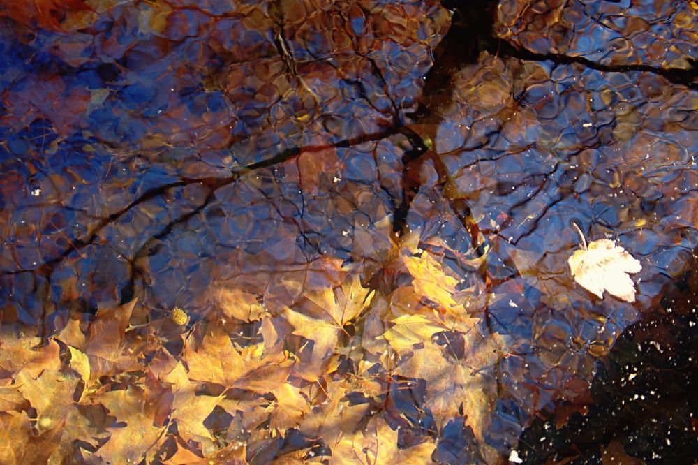 Photograph by Irina Radzinskaya